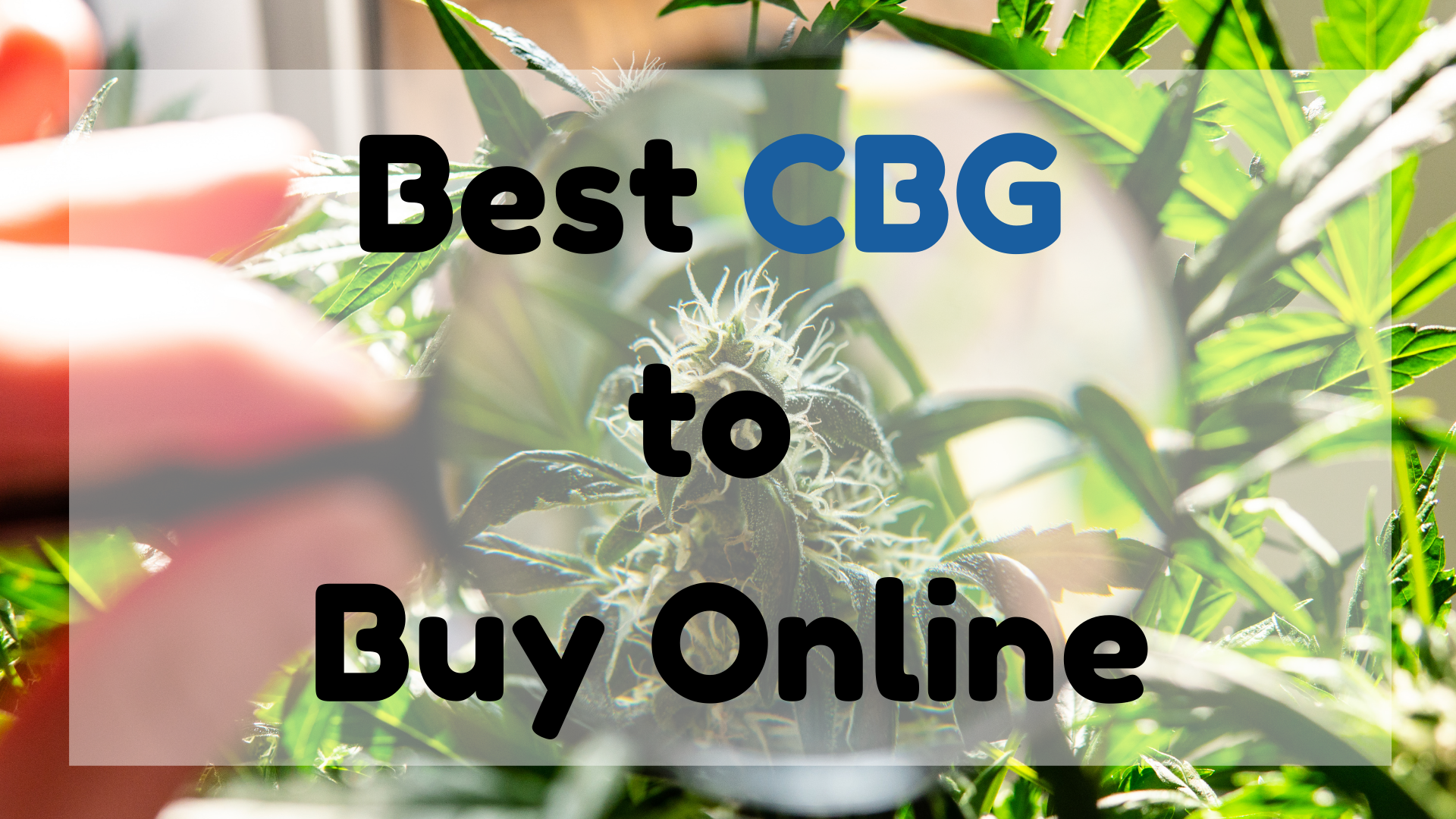 Best CBG to Buy Online