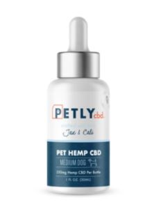 Best Way to Give a Dog CBD Oil-3