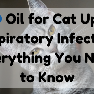 CBD Oil for Cat Upper Respiratory Infection
