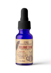 CBD Oil for Cat Upper Respiratory Infection-4