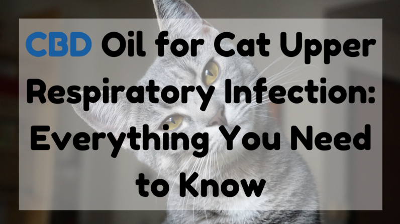 CBD Oil for Cat Upper Respiratory Infection