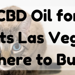 CBD Oil for Cats Las Vegas