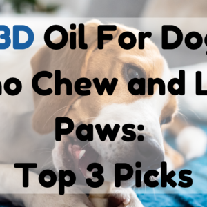 CBD Oil for Dogs Who Chew and Lick Paws