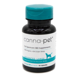 CBD Oil for Dogs with Renal Failure-3