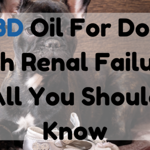 CBD Oil for Dogs with Renal Failure
