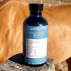CBD Oil for Horses with Cushing-3