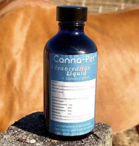 CBD for Horses with Laminitis-3