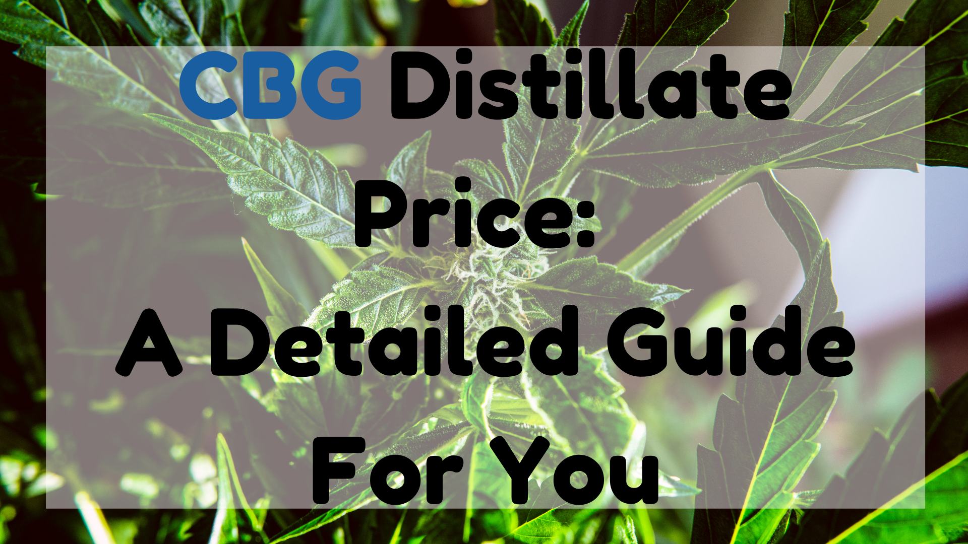 CBG Distillate Price