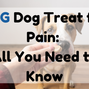 CBG Dog Treat for Pain