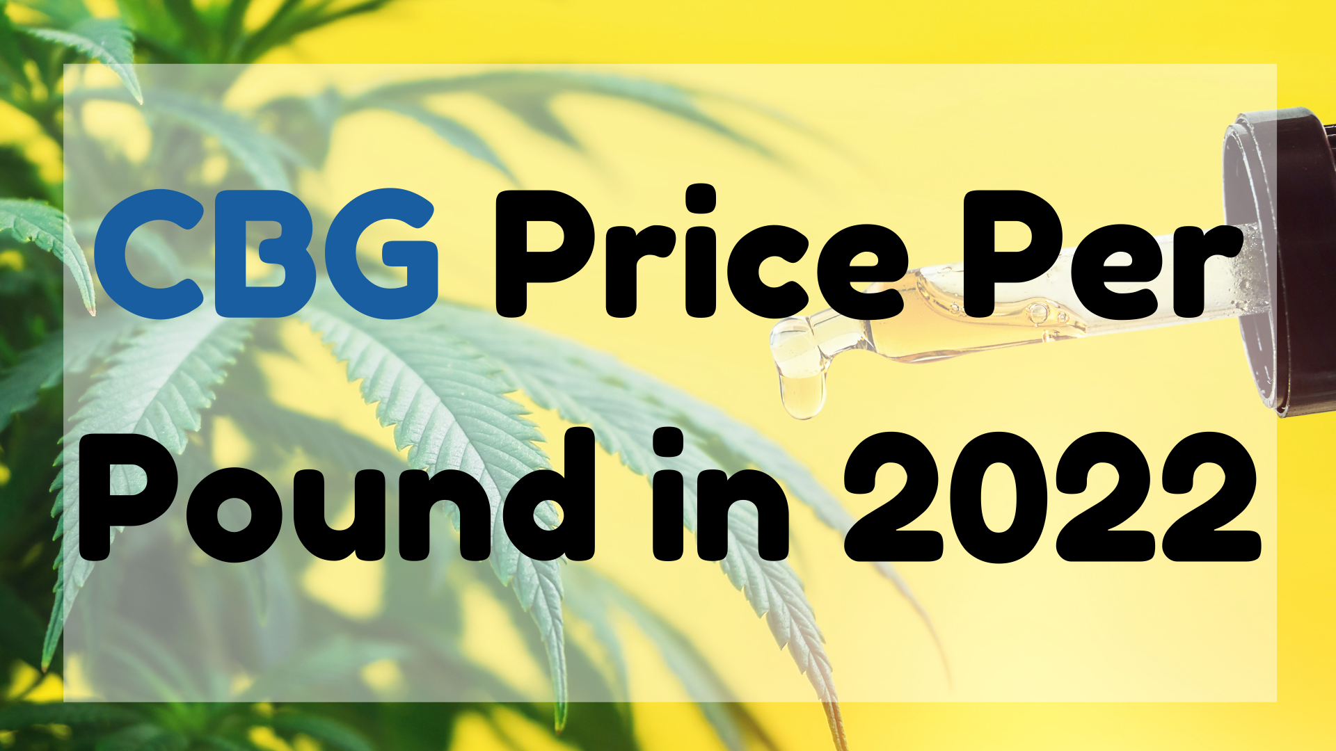 CBG Price Per Pound in 2022