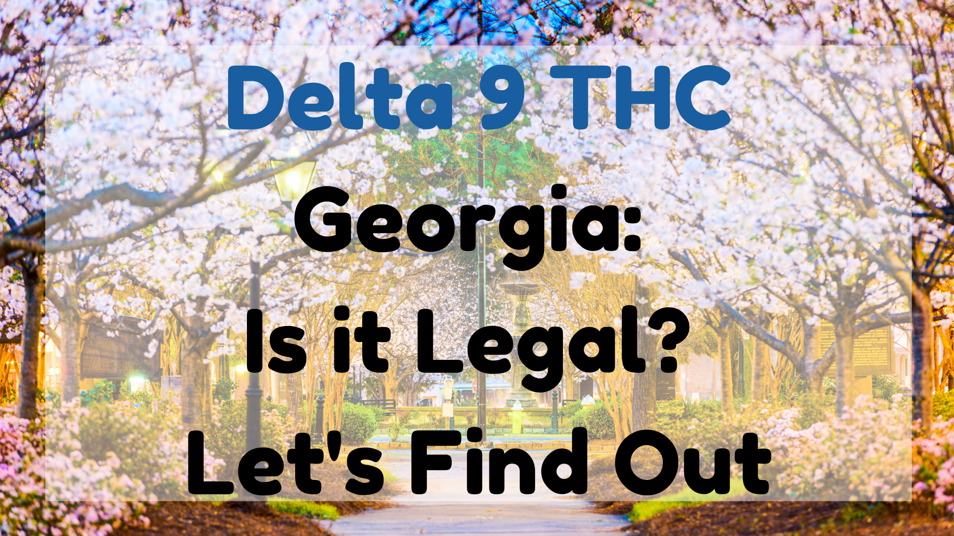 Delta 9 THC Georgia
