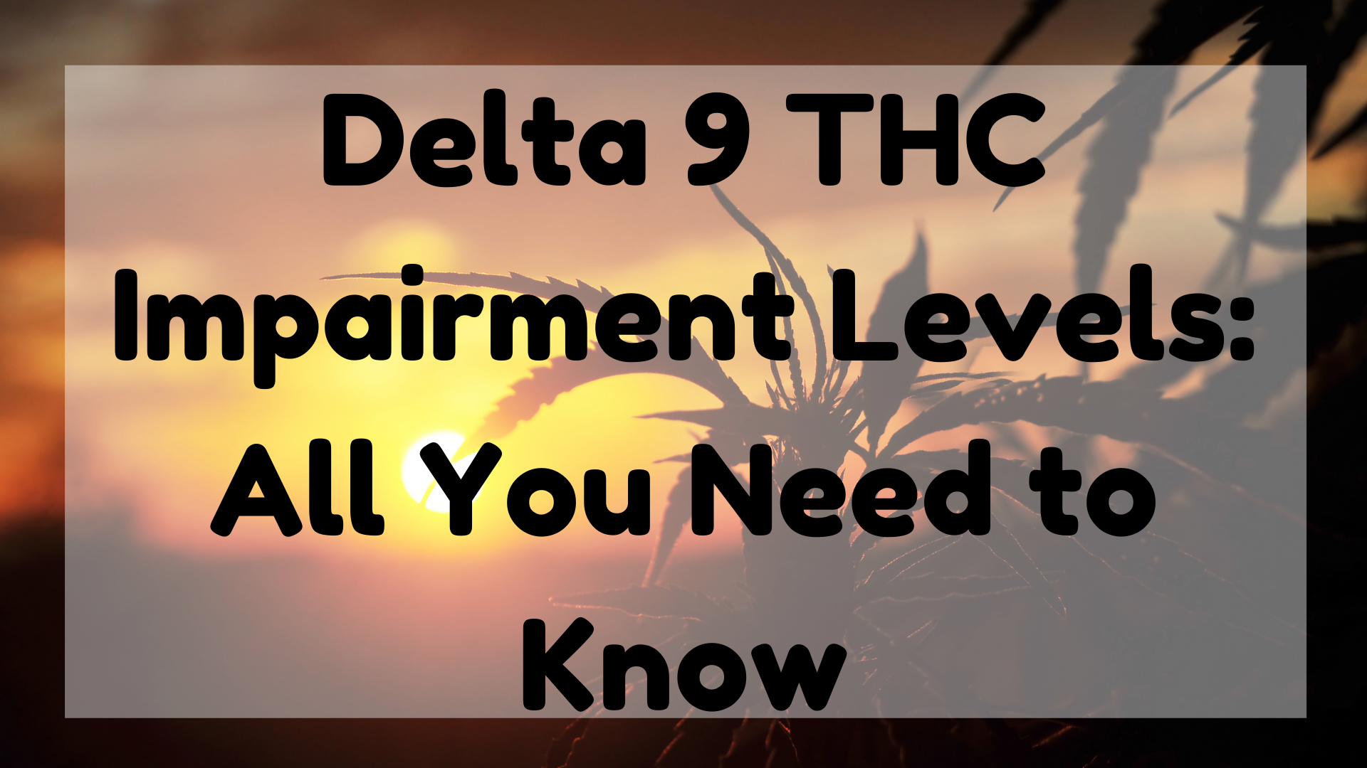 Delta 9 THC Impairment Levels