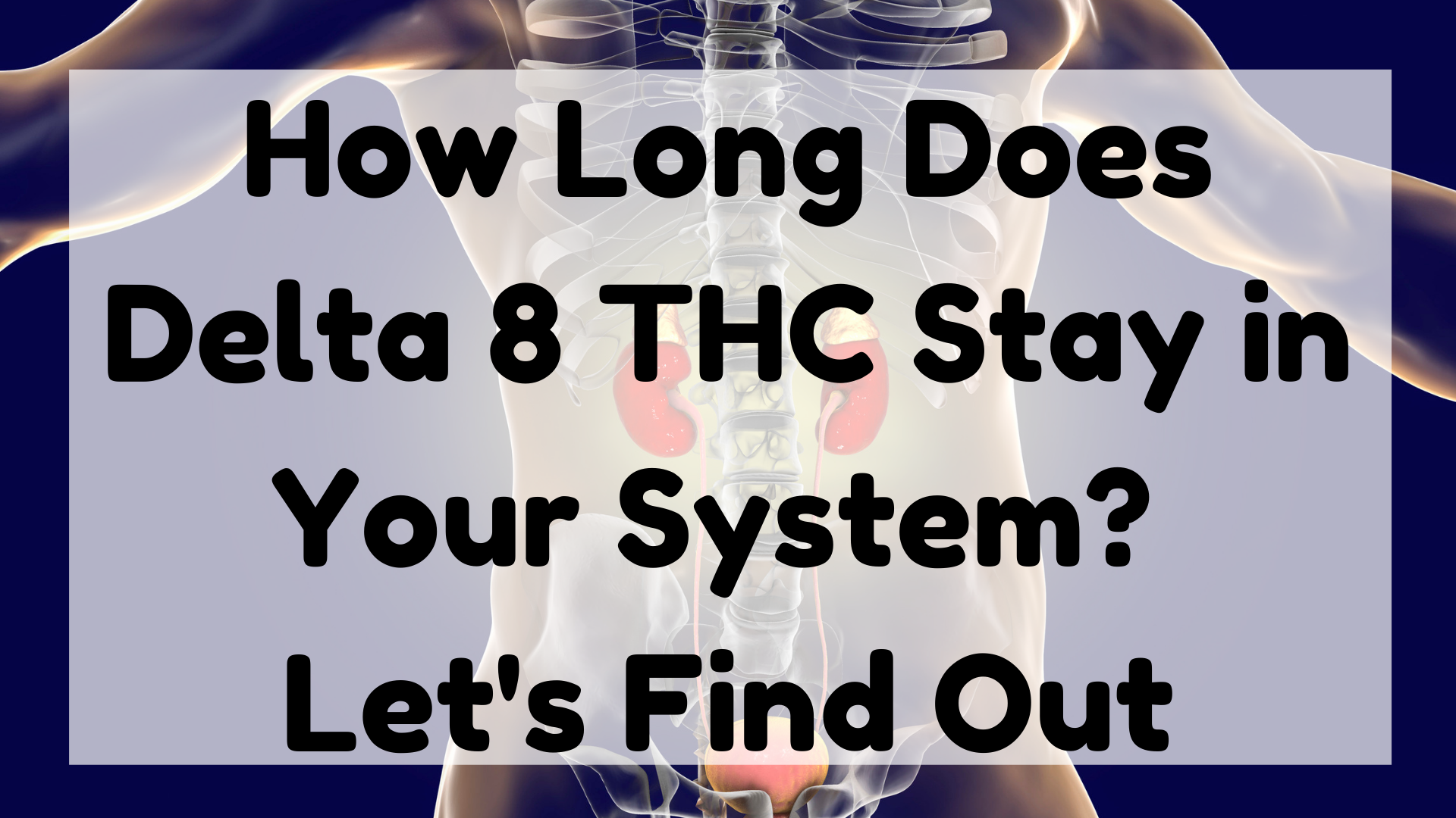 How Long Does Delta 8 THC Stay in Your System
