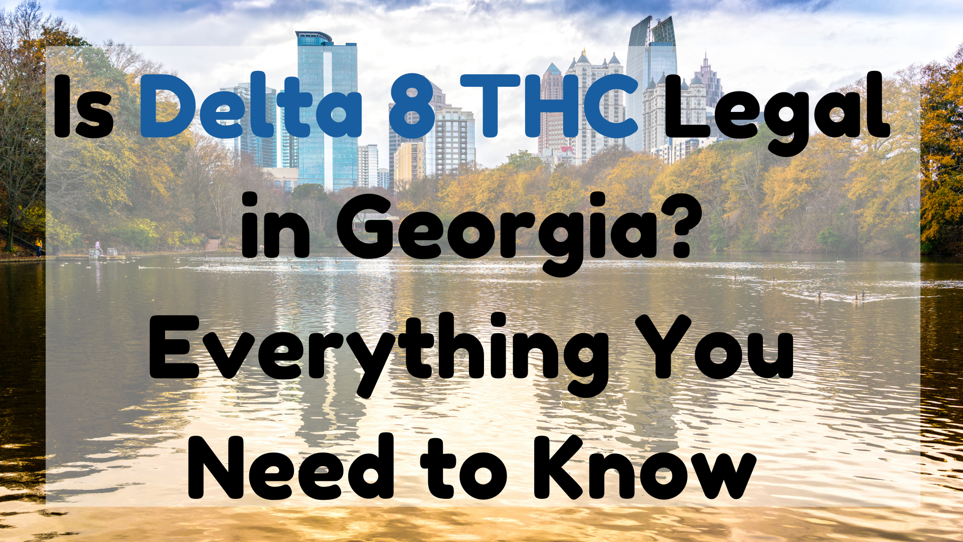 Is Delta 8 THC Legal in Georgia