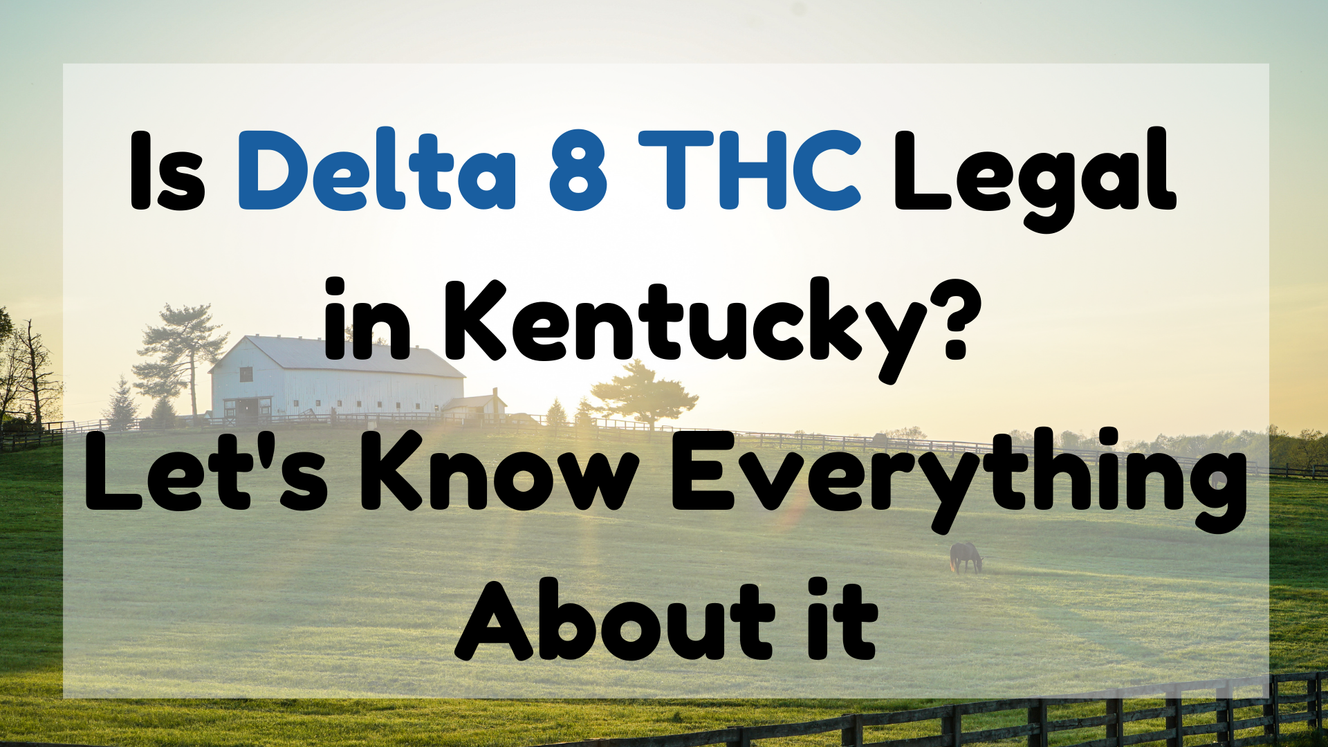 Is Delta 8 THC Legal in Kentucky