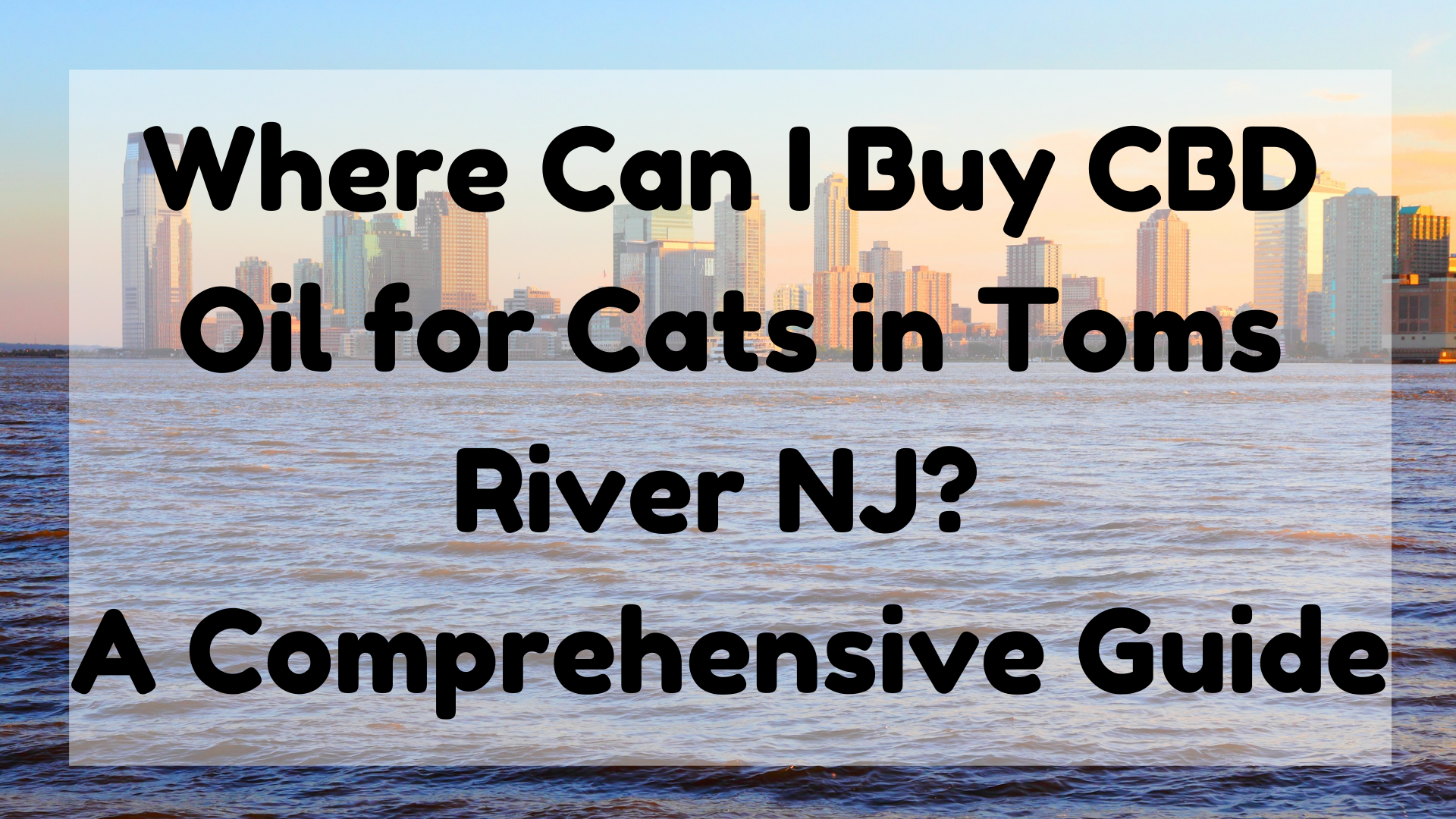 CBD Oil for Cats in Toms River NJ