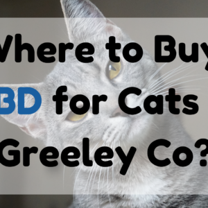 CBD for Cats in Greeley Co