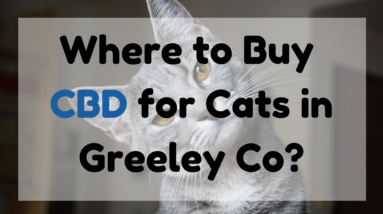 CBD for Cats in Greeley Co