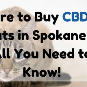 CBD for Cats in Spokane