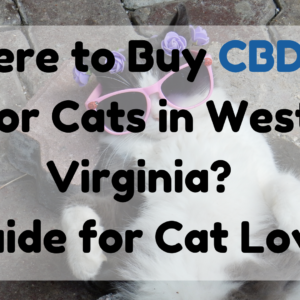 CBD Oil for Cats in West Virginia