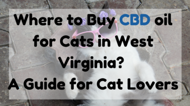 CBD Oil for Cats in West Virginia