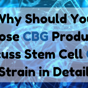 Stem Cell CBG Strain