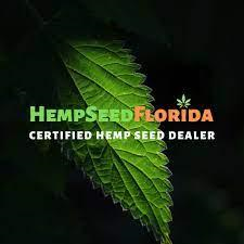 CBD Seeds In Florida