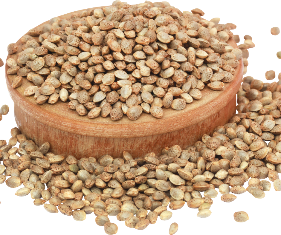 Do Hemp Seeds Make You Test Positive for THC