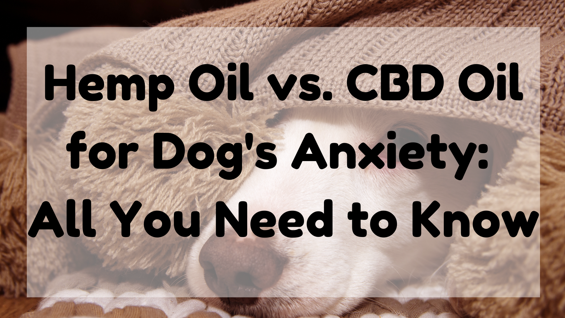 Hemp Oil vs. CBD Oil For Dogs Anxiety