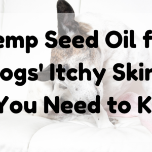 Hemp Seed Oil For Dogs' Itchy Skin