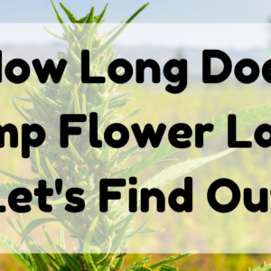 How Long Does Hemp Flower Last