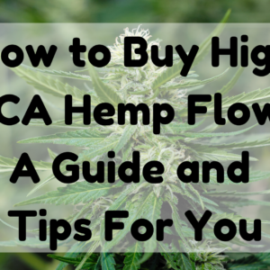 How To Buy High THCA Hemp Flower