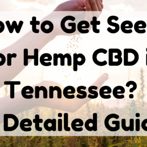 Seeds for Hemp CBD in Tennessee