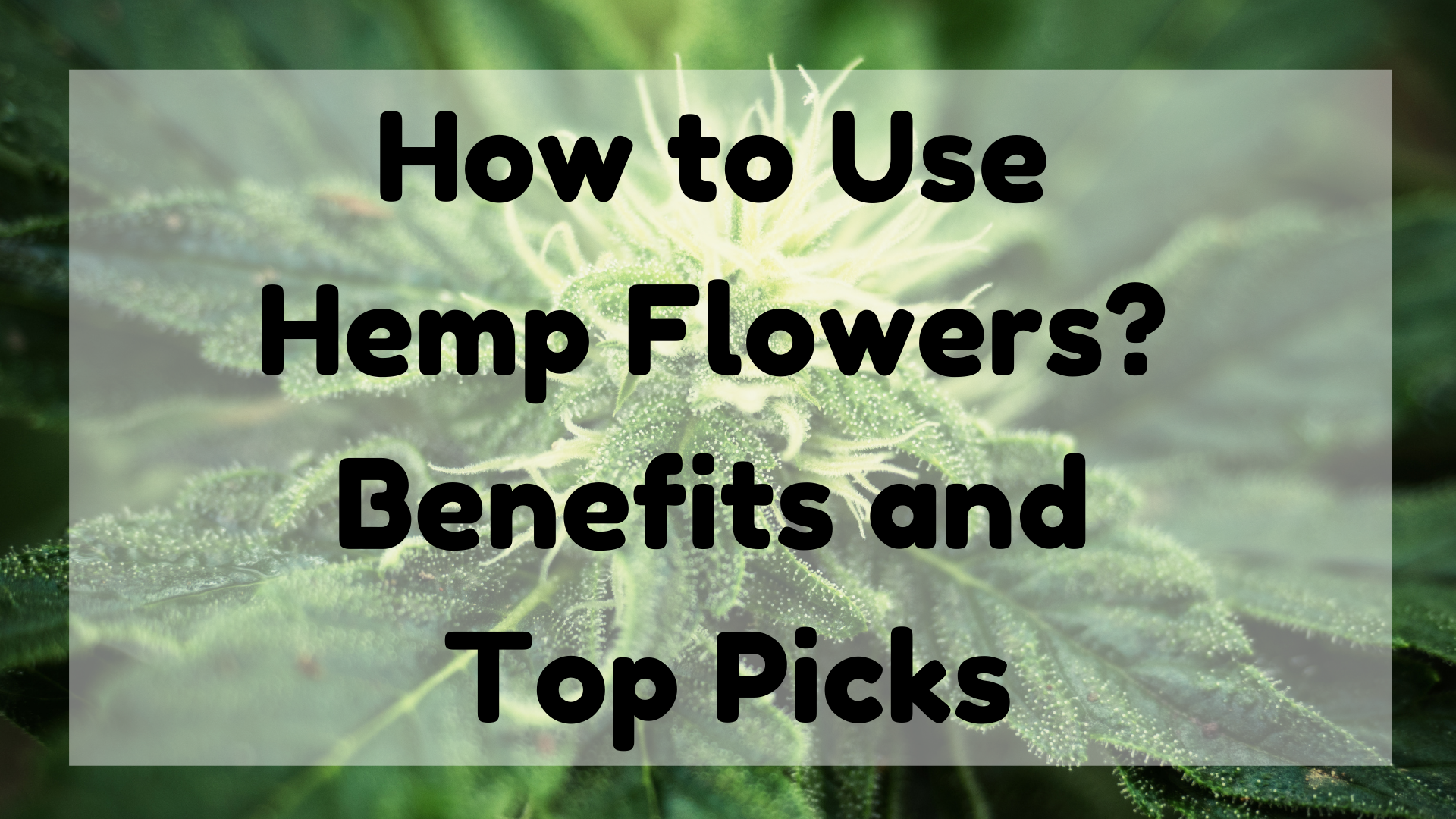 How to Use Hemp Flowers