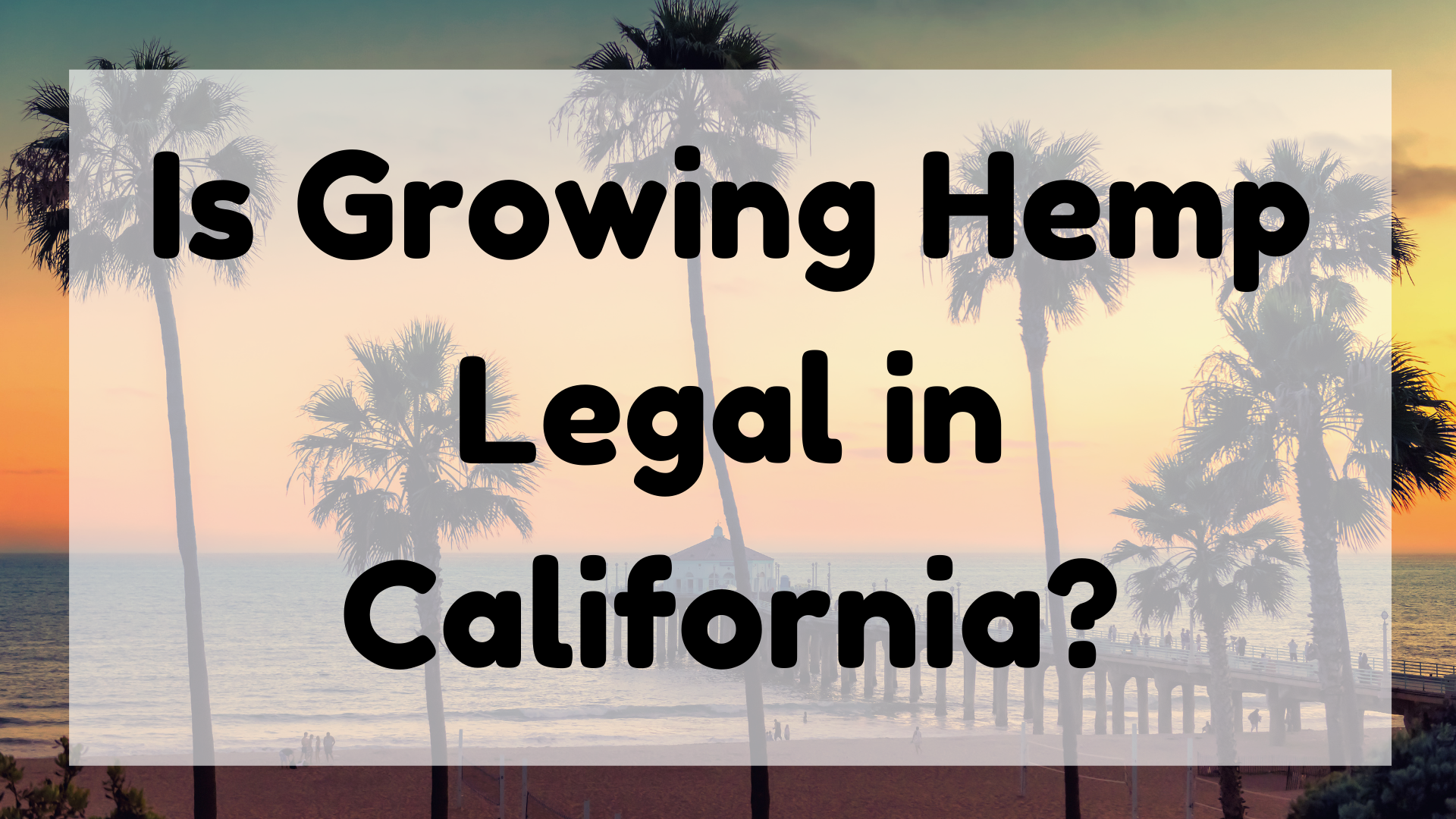 Is Growing Hemp Legal in California