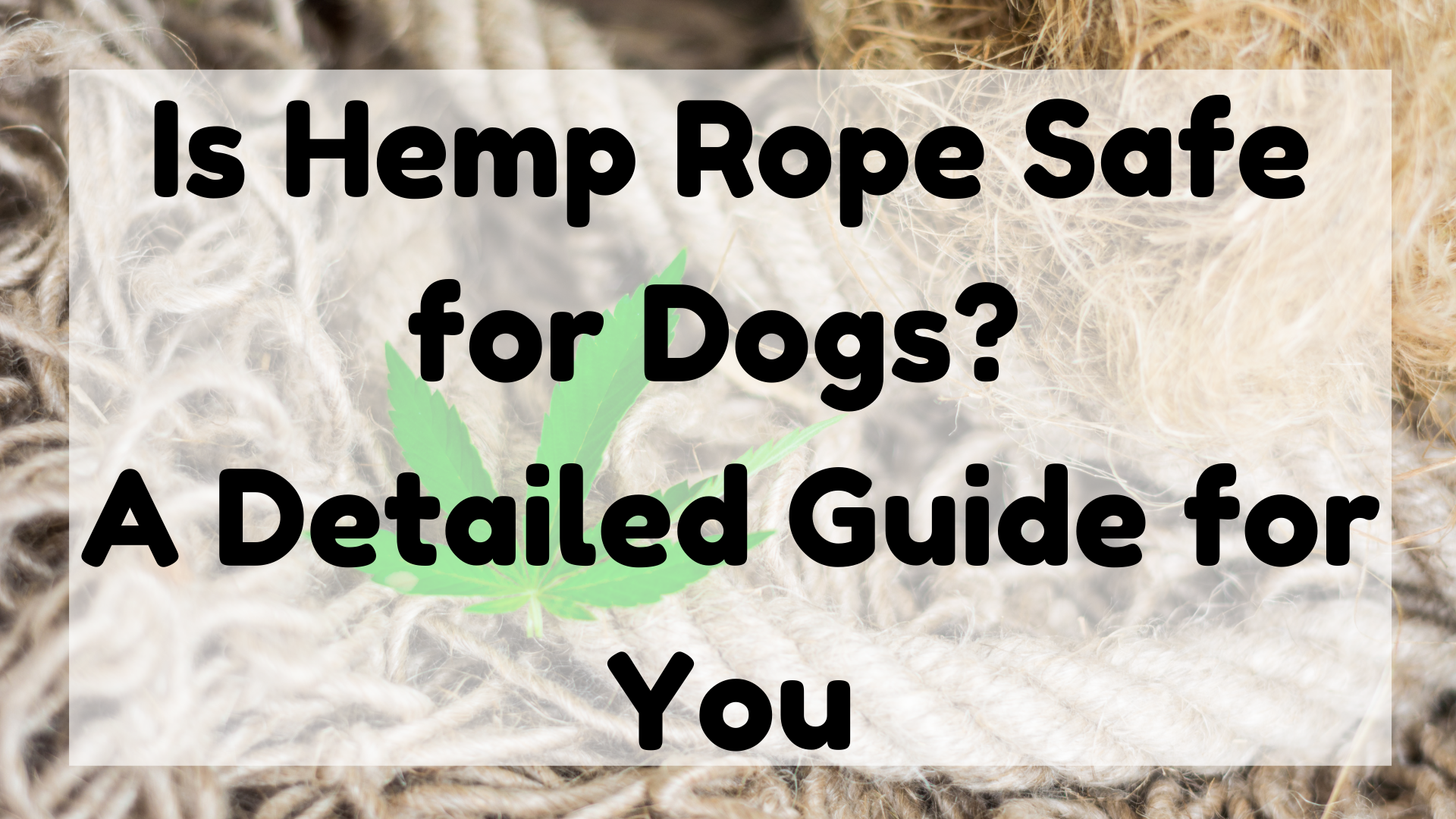 Is Hemp Rope Safe For Dogs