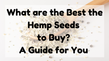 What Are The Best The Hemp Seeds To Buy
