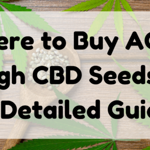 ACDC High CBD Seeds