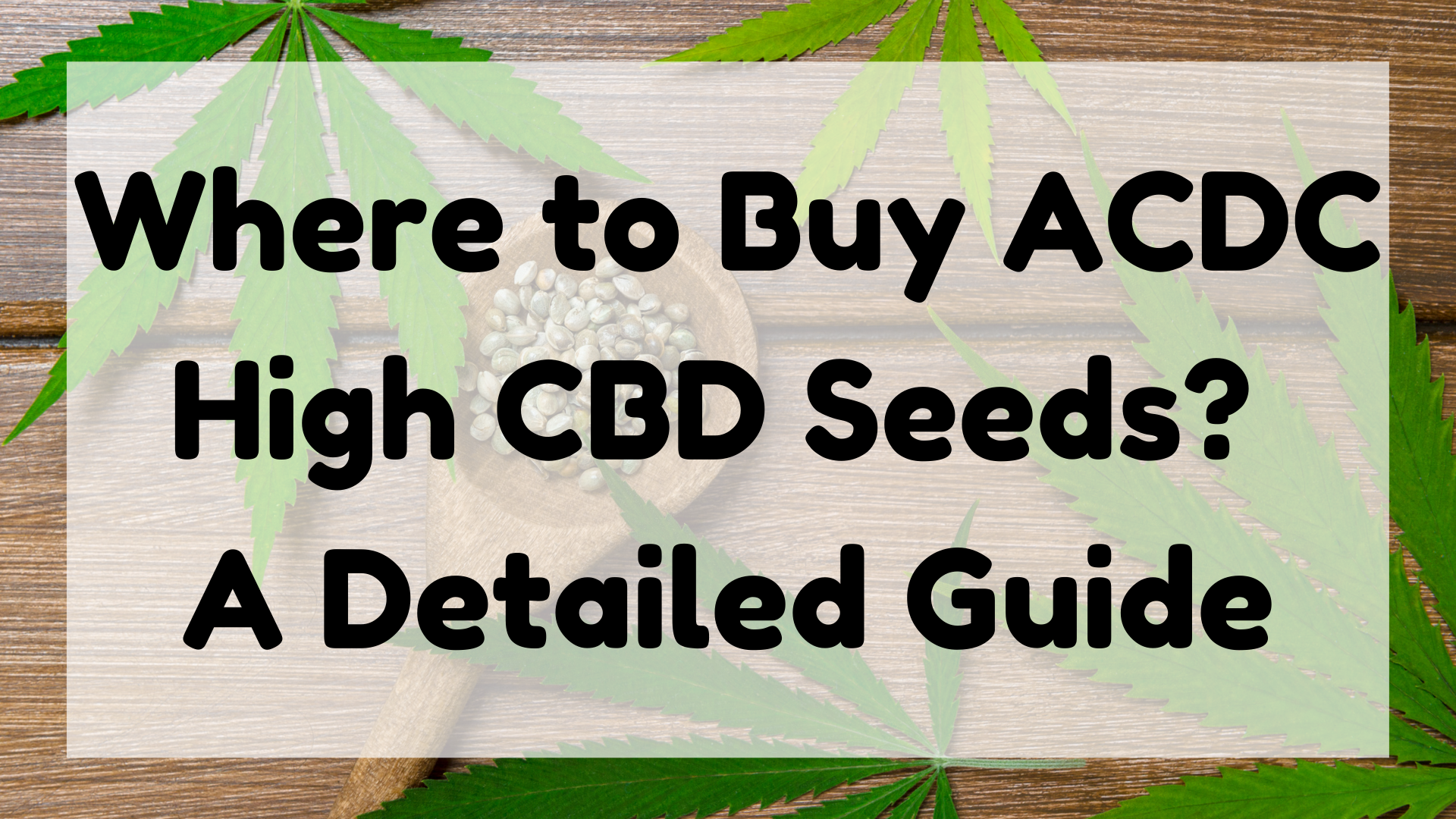ACDC High CBD Seeds