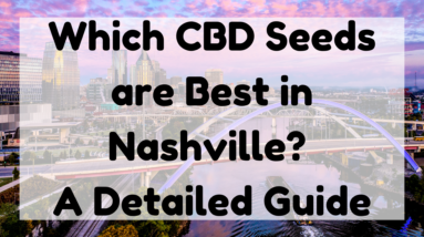 Which CBD Seeds Are Best in Nashville