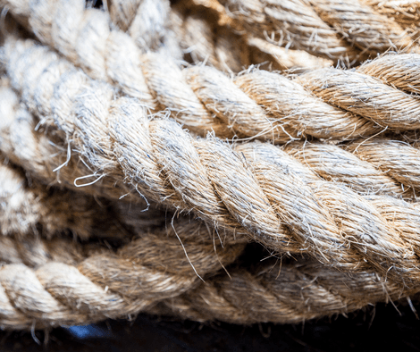 Is Hemp Rope Safe For Dogs