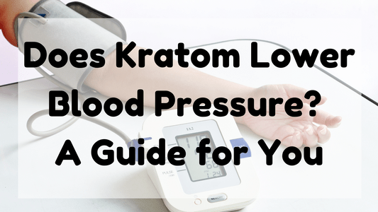 Featured Image (Does Kratom Lower Blood Pressure)