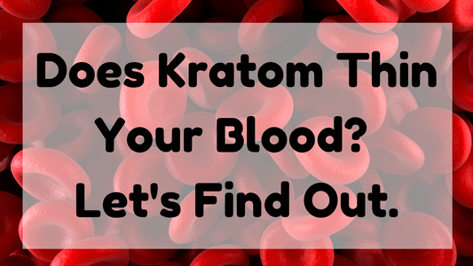 Featured Image (Does Kratom Thin Your Blood)