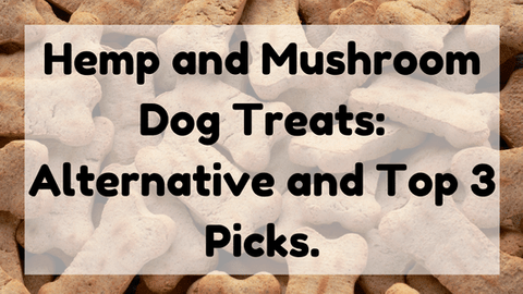 Featured Image (Hemp And Mushroom Dog Treats)