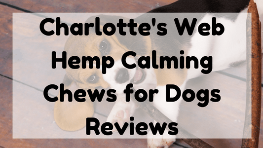 Featured Image (Hemp Calming Chews For Dogs)