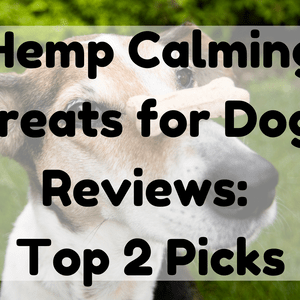 Featured Image (Hemp Calming Treats For Dogs Reviews)