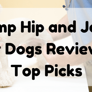 Featured Image (Hemp Hip And Joint For Dogs Reviews)