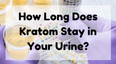 Featured Image (How Long Does Kratom Stay In Your Urine)