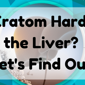 Featured Image (Is Kratom Hard On The Liver)