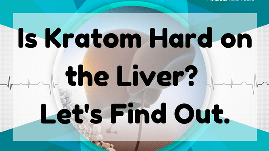 Featured Image (Is Kratom Hard On The Liver)